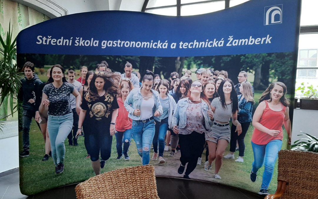 Efektivní vzdělávání pedagogů, Wavin Czechia a Grohe ČR
